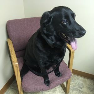 Meet your Posher, Anna